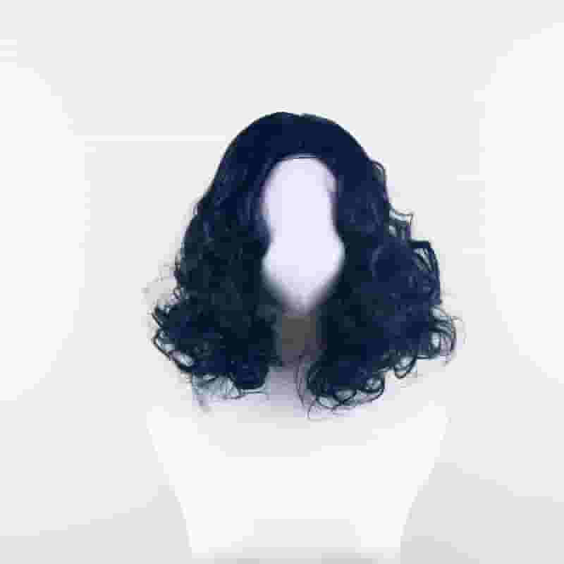 DALUSE WIG 12-inch Full Lace Front Black Shaggy Wavy Short Wig