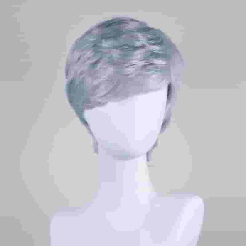 DALUSE WIG Straight Silver Gray Layered Short Bangs Wig