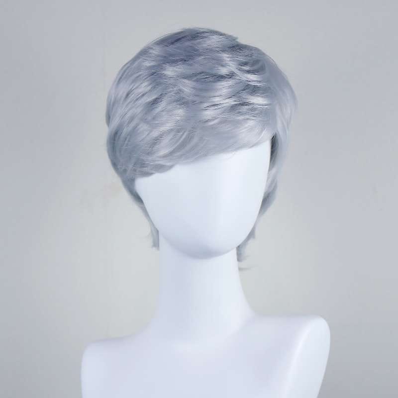 DALUSE WIG Silver Gray Short Straight Layered Bangs Wig 