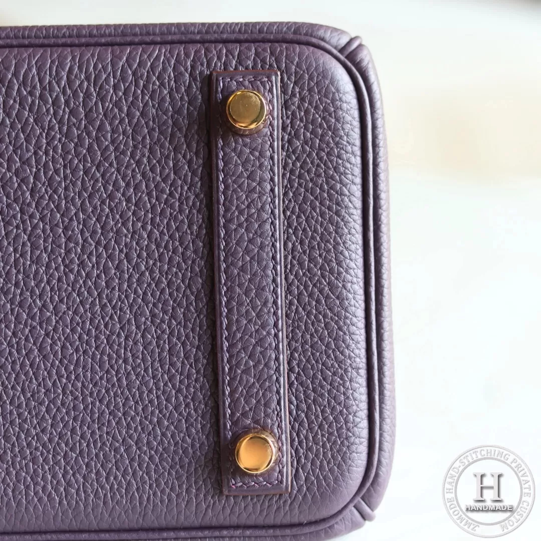 Birkin 25 Togo 59 raisin