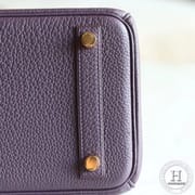 Birkin 25 Togo 59 raisin