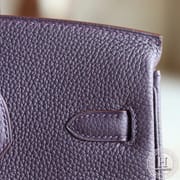 Birkin 25 Togo 59 raisin
