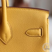 Birkin 25 TOGO  9D Ambre GHW