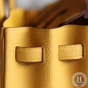 Birkin 25 TOGO  9D Ambre GHW