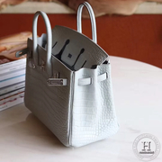 Birkin 25 80 Pearl Grey