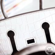 HIMALAYAN CROCODILE BIRKIN 25 PHW