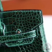 Birkin 25 67 vert fonce