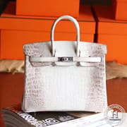 HIMALAYAN CROCODILE BIRKIN 25 PHW