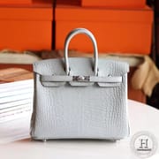Birkin 25 80 Pearl Grey