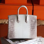 HIMALAYAN CROCODILE BIRKIN 25 PHW