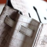 HIMALAYAN CROCODILE BIRKIN 25 PHW