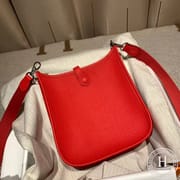 ZMMODE  Hermes爱马仕 Evelyn 16cm Clemence Tc S3