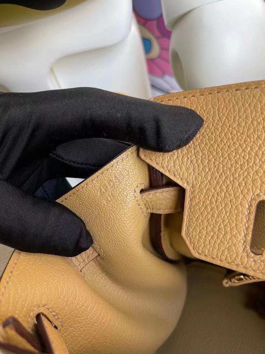 Hermes Birkin 25 Togo 4B BISCUIT United Arab Emirates