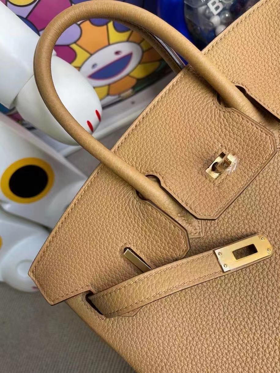 Hermes Birkin 25 Togo 4B BISCUIT United Arab Emirates
