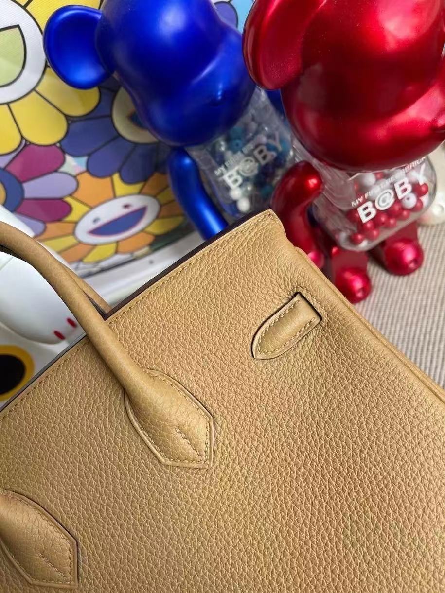 Hermes Birkin 25 Togo 4B BISCUIT United Arab Emirates