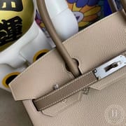 01 Pure white / 9R Lime Togo Hermes Birkin 30cm-5591