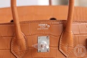 BIRKIN25 Ck10 Craie Togo And  L3 Rose Purple-2562