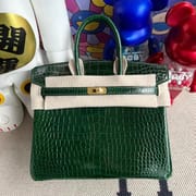 Birkin 25 Himalayan Crocodile Palladium Hardware-3789