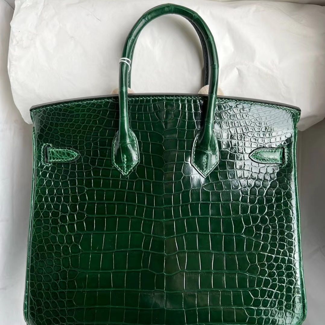 Birkin 25 Himalayan Crocodile Palladium Hardware-3789