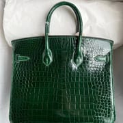 Birkin 25 Himalayan Crocodile Palladium Hardware-3789