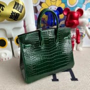 Birkin 25 Himalayan Crocodile Palladium Hardware-3789