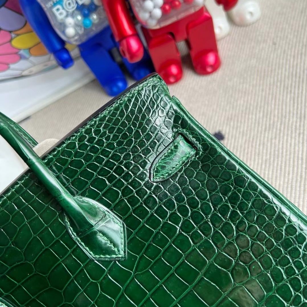 Birkin 25 Himalayan Crocodile Palladium Hardware-3789