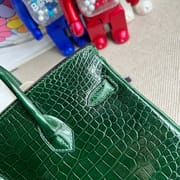 Birkin 25 Himalayan Crocodile Palladium Hardware-3789