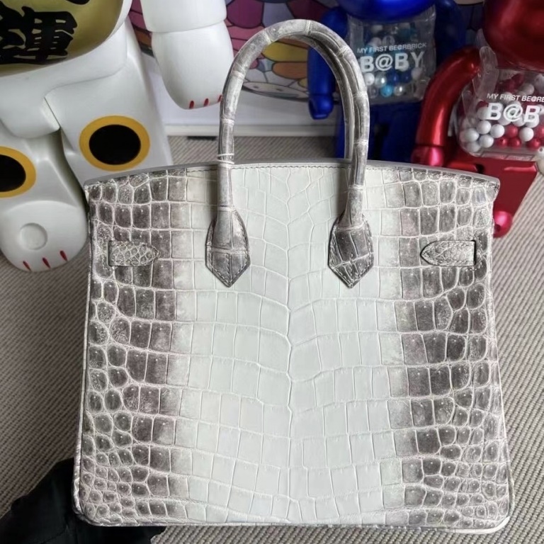 Birkin 25 Himalayan Crocodile Palladium Hardware Birkin 25 Himalayan Crocodile Palladium Hardware