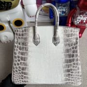 Birkin 25 Himalayan Crocodile Palladium Hardware