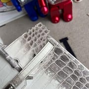 Birkin 25 Himalayan Crocodile Palladium Hardware
