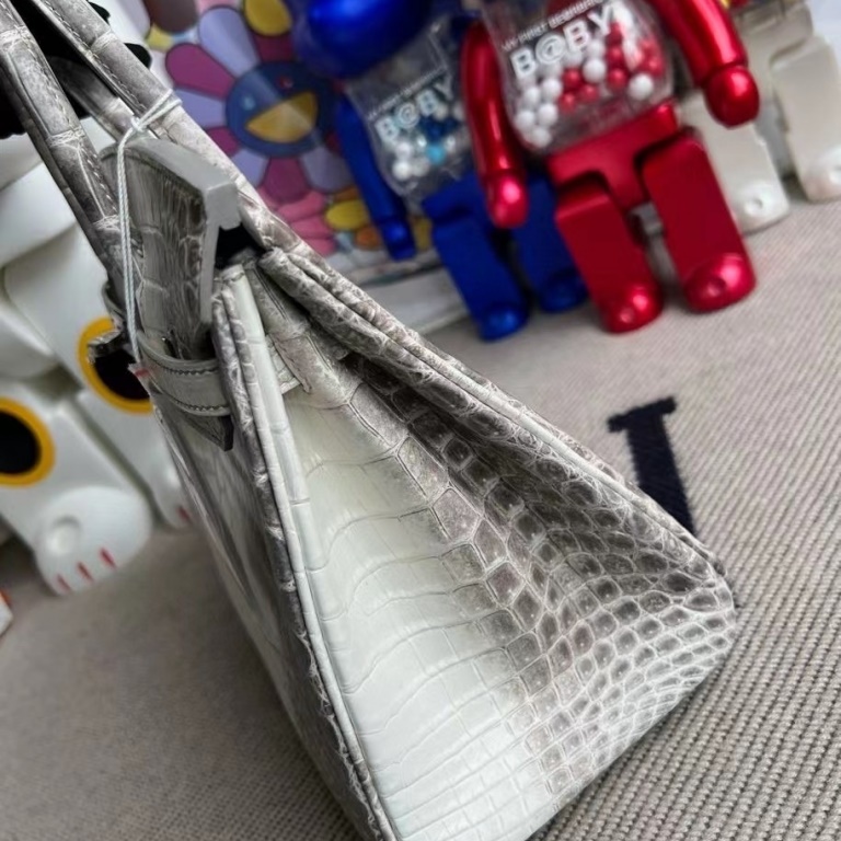 Birkin 25 Himalayan Crocodile Palladium Hardware Birkin 25 Himalayan Crocodile Palladium Hardware
