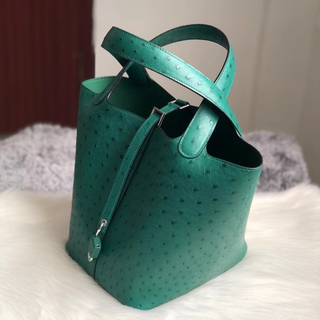Hermes Picture Lock 22cm Ostrich U4 Vert Verigo Hermes Picture Lock 22cm Ostrich U4 Vert Verigo