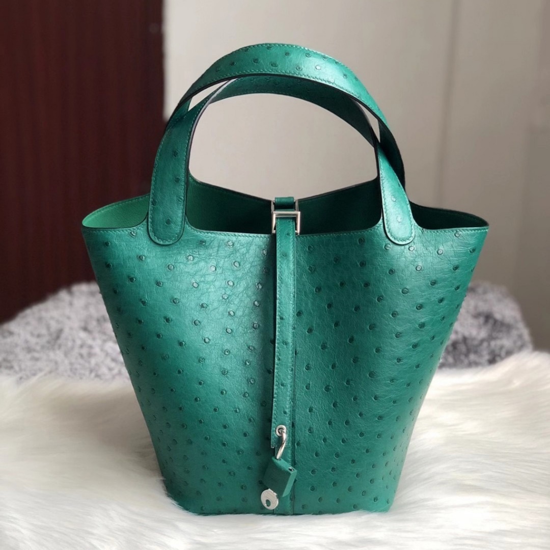 Hermes Picture Lock 22cm Ostrich U4 Vert Verigo Hermes Picture Lock 22cm Ostrich U4 Vert Verigo