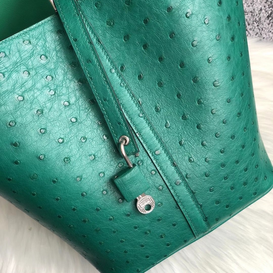 Hermes Picture Lock 22cm Ostrich U4 Vert Verigo Hermes Picture Lock 22cm Ostrich U4 Vert Verigo