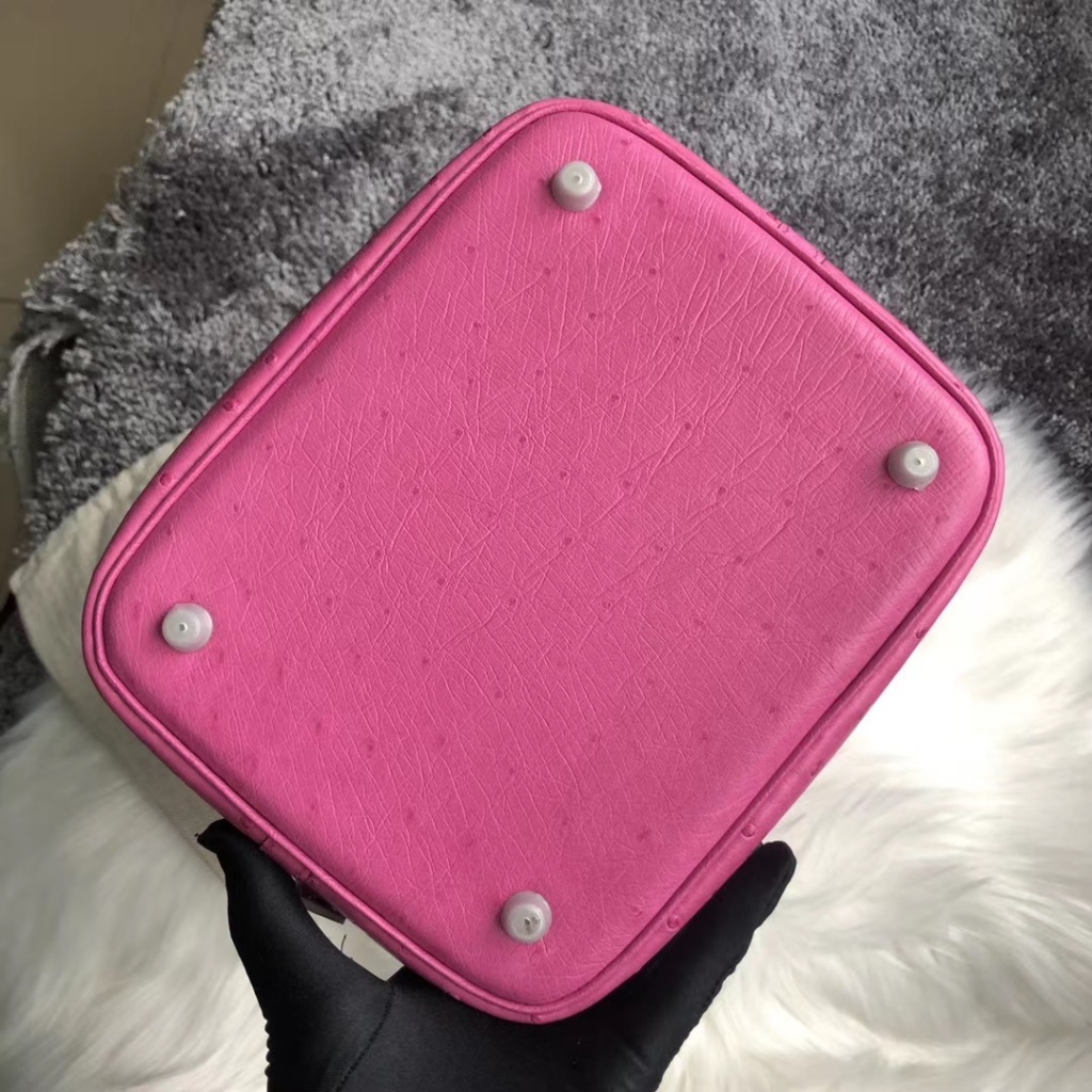 Hermes Picture Lock 22cm Ostrich 9i Magnolia