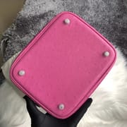 Hermes Picture Lock 22cm Ostrich U4 Vert Verigo-5940