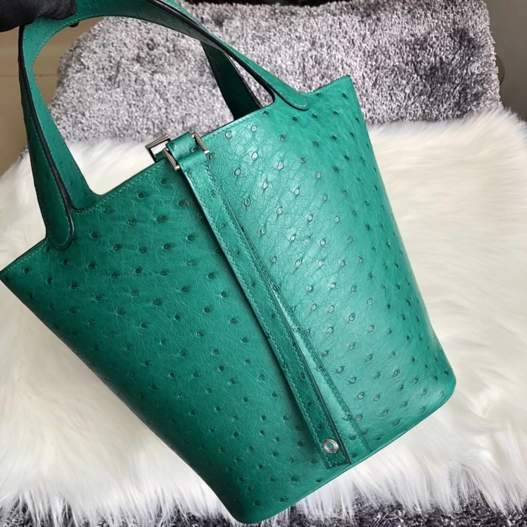 Hermes Picture Lock 22cm Ostrich U4 Vert Verigo