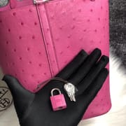 Hermes Picture Lock 22cm Ostrich U4 Vert Verigo-5940