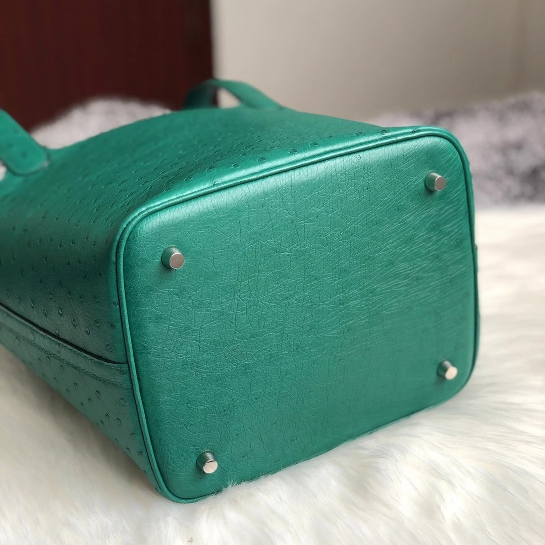 Hermes Picture Lock 22cm Ostrich U4 Vert Verigo Hermes Picture Lock 22cm Ostrich U4 Vert Verigo