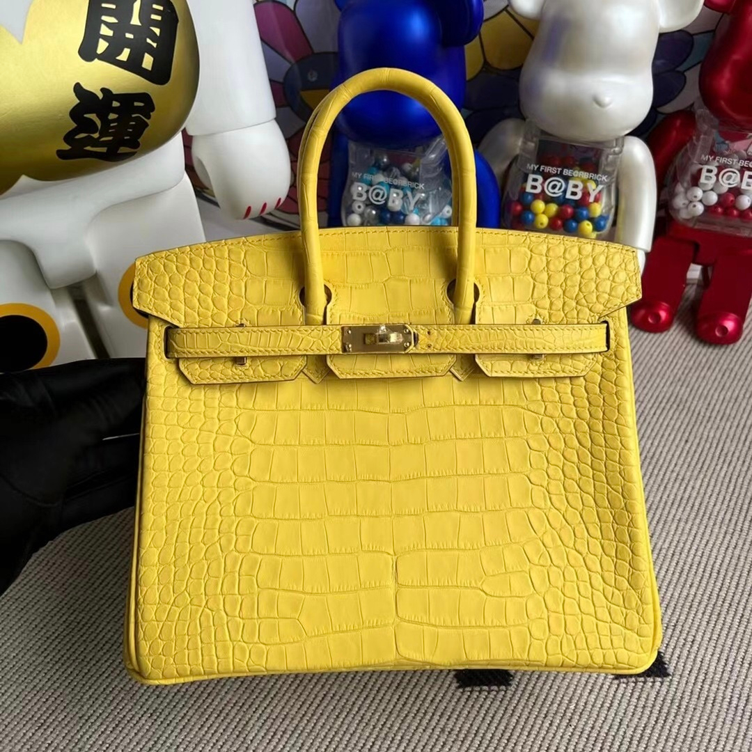 Hermès Birkin 25cm Touch Togo  Matte Alligator Crocodile 55 Rouge H All hand sewing-1392