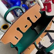 Hermès Birkin 25cm Togo S2 Trench  All hand sewing-0793