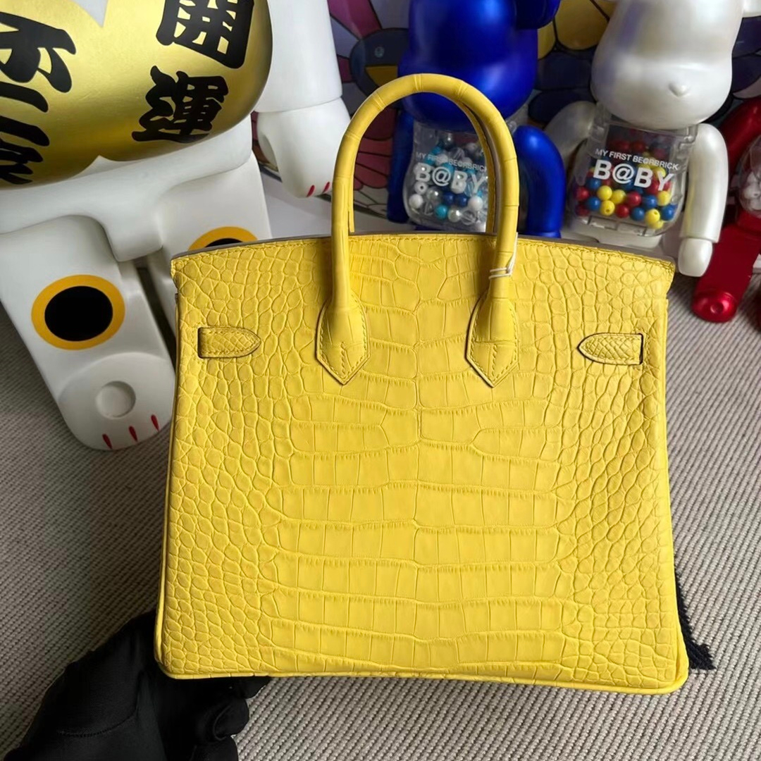 Hermès Birkin 25cm Touch Togo  Matte Alligator Crocodile 55 Rouge H All hand sewing-1392