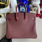 Hermès Birkin 25cm Touch Togo  Matte Alligator Crocodile 37 Gold  All hand sewing-8329
