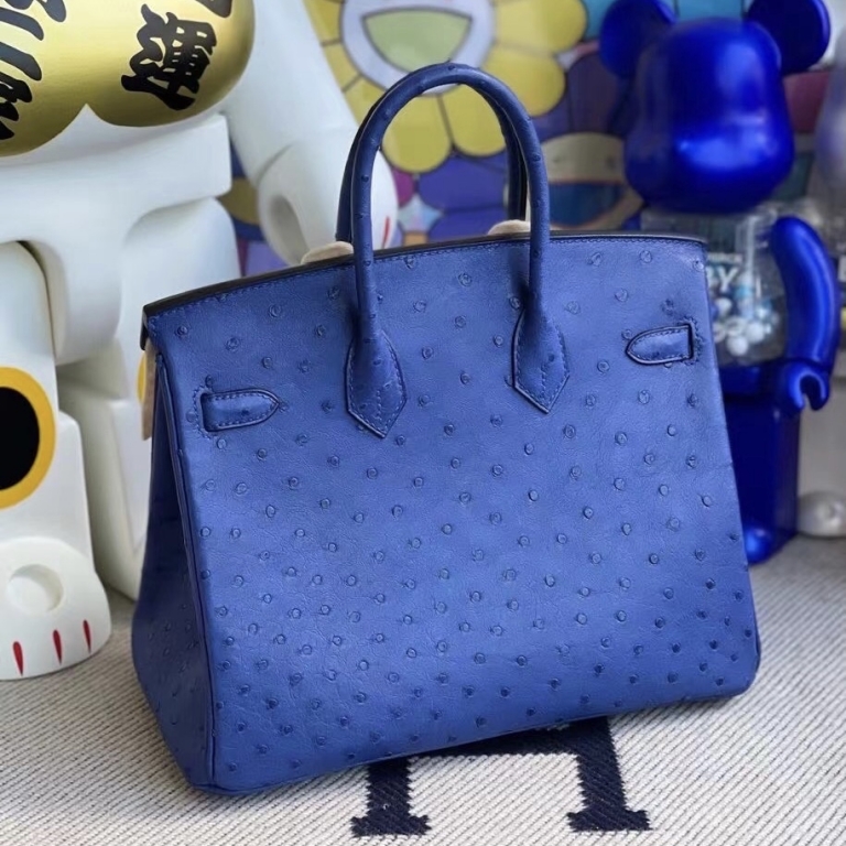 Hermes Bag price and pictures Birkin 25 Ostrich 7Q Blue Mykonos Gold hardware Hermes Bag price and pictures Birkin 25 Ostrich 7Q Blue Mykonos Gold hardware
