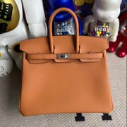 Hermes Bag price and pictures Birkin 25 Ostrich 7Q Blue Mykonos Gold hardware-9364