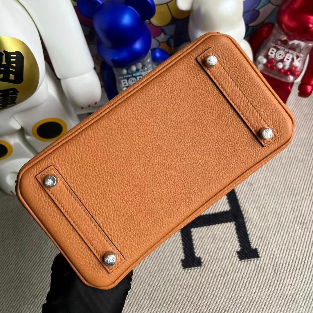 Hermes Bag price and pictures Birkin 25 Ostrich 7Q Blue Mykonos Gold hardware-9364