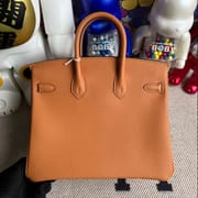 Hermes Bag price and pictures Birkin 25 Ostrich 7Q Blue Mykonos Gold hardware-9364