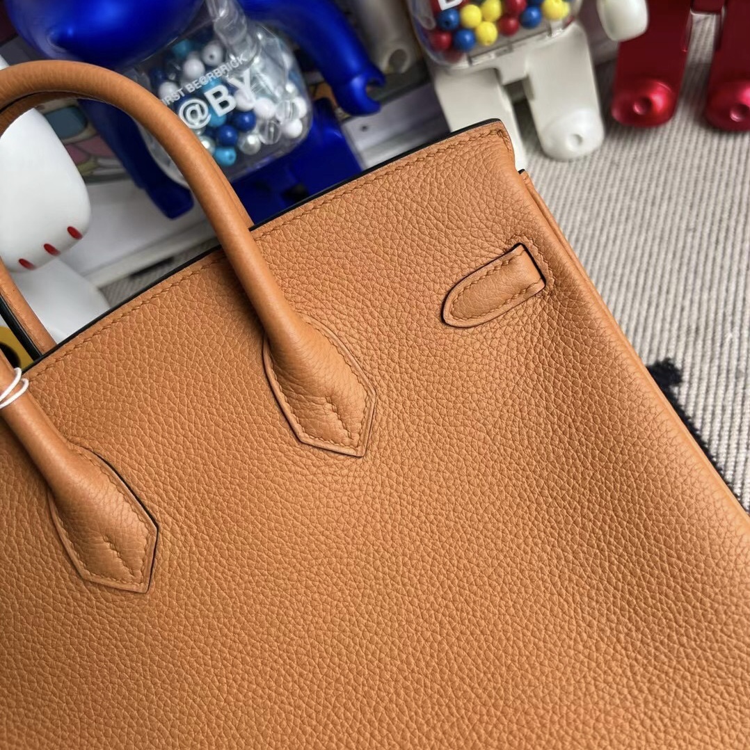 Hermes Birkin 25cm Togo I9 Abricot and 9R Lime  Silver hardware All hand sewing