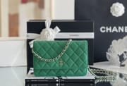 CHANEL WOC HAAS 12:19:4-2718