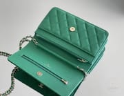 CHANEL WOC HAAS 12:19:4-2718